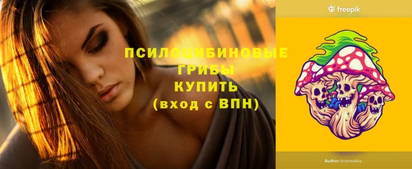дурь Алагир